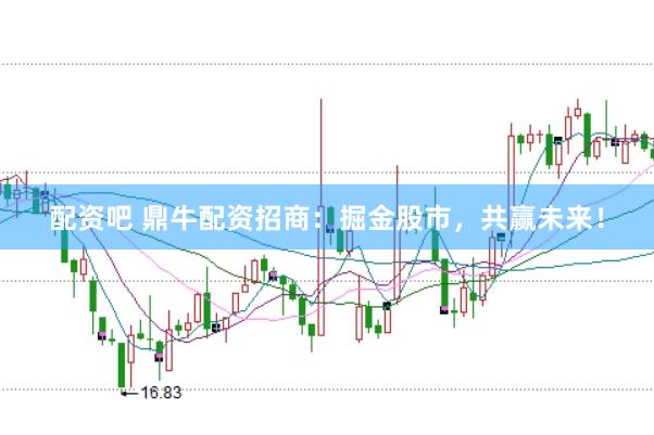 配资吧 鼎牛配资招商：掘金股市，共赢未来！
