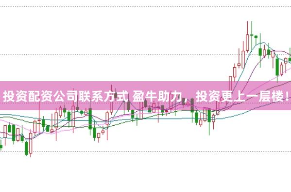 投资配资公司联系方式 盈牛助力，投资更上一层楼！