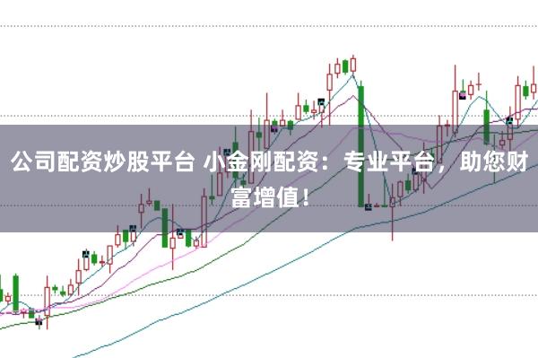 公司配资炒股平台 小金刚配资：专业平台，助您财富增值！