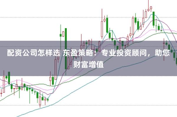配资公司怎样选 东盈策略：专业投资顾问，助您财富增值