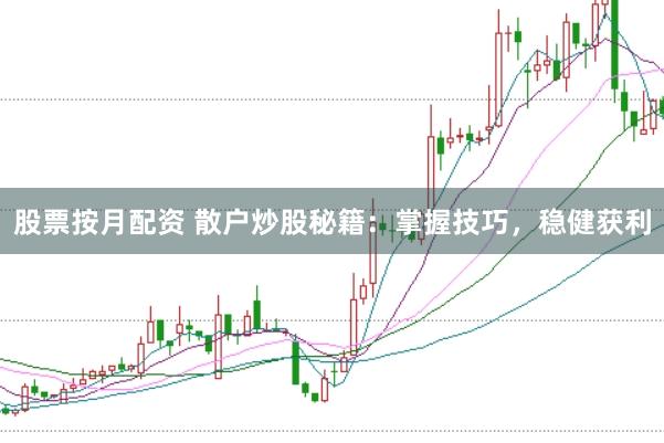 股票按月配资 散户炒股秘籍：掌握技巧，稳健获利