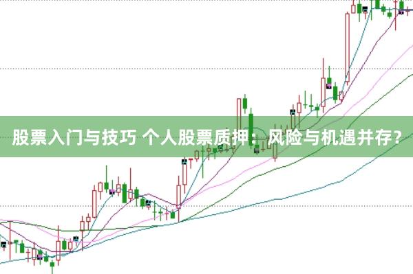 股票入门与技巧 个人股票质押：风险与机遇并存？