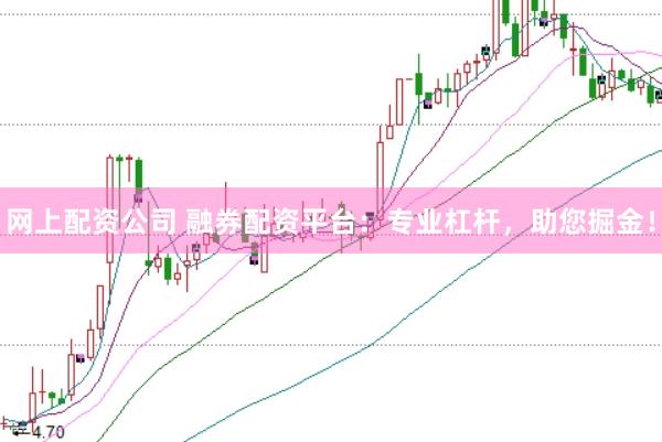 网上配资公司 融券配资平台：专业杠杆，助您掘金！