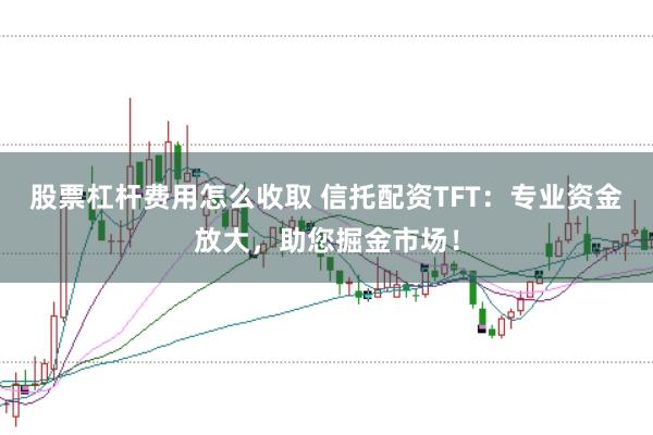 股票杠杆费用怎么收取 信托配资TFT：专业资金放大，助您掘金市场！