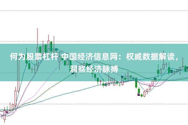 何为股票杠杆 中国经济信息网：权威数据解读，洞察经济脉搏