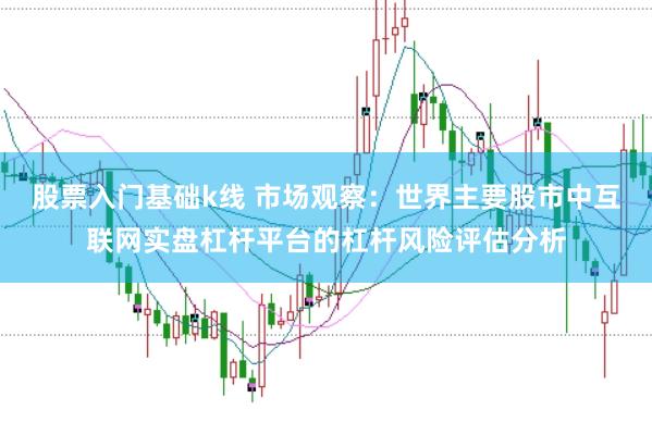 股票入门基础k线 市场观察：世界主要股市中互联网实盘杠杆平台的杠杆风险评估分析