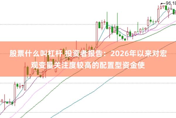 股票什么叫杠杆 投资者报告：2026年以来对宏观变量关注度较高的配置型资金使