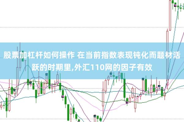 股票加杠杆如何操作 在当前指数表现钝化而题材活跃的时期里,外汇110网的因子有效