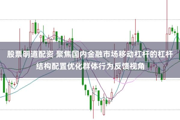 股票明道配资 聚焦国内金融市场移动杠杆的杠杆结构配置优化群体行为反馈视角