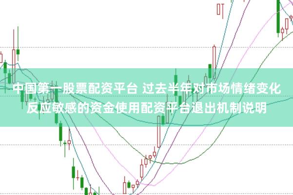 中国第一股票配资平台 过去半年对市场情绪变化反应敏感的资金使用配资平台退出机制说明
