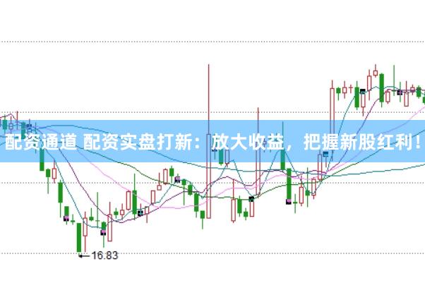 配资通道 配资实盘打新：放大收益，把握新股红利！