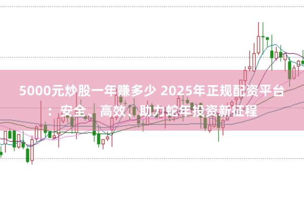 5000元炒股一年赚多少 2025年正规配资平台：安全、高效、助力蛇年投资新征程