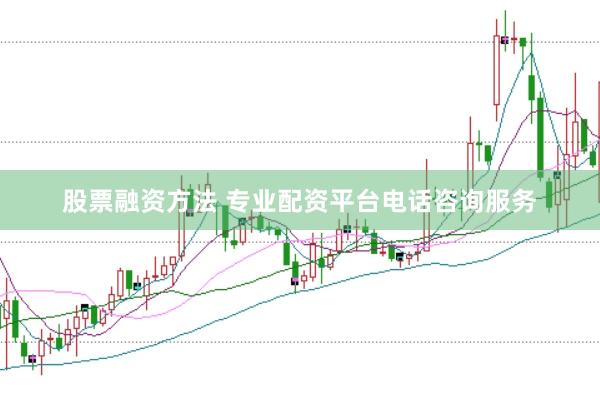 股票融资方法 专业配资平台电话咨询服务