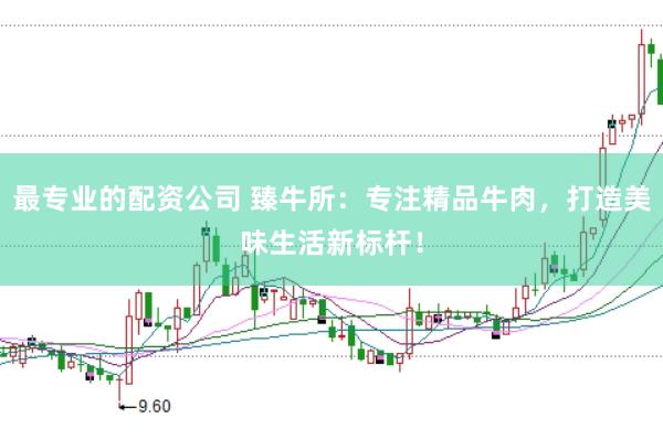 最专业的配资公司 臻牛所：专注精品牛肉，打造美味生活新标杆！