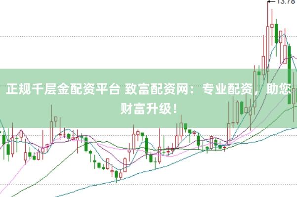 正规千层金配资平台 致富配资网：专业配资，助您财富升级！