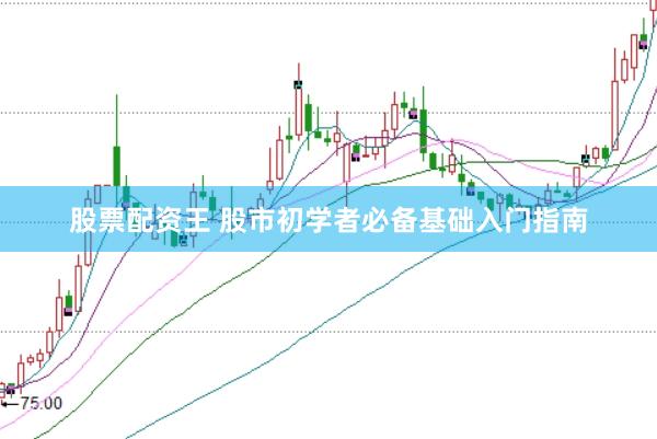 股票配资王 股市初学者必备基础入门指南