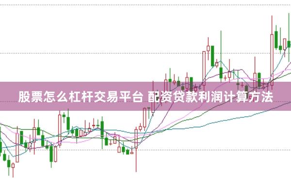 股票怎么杠杆交易平台 配资贷款利润计算方法