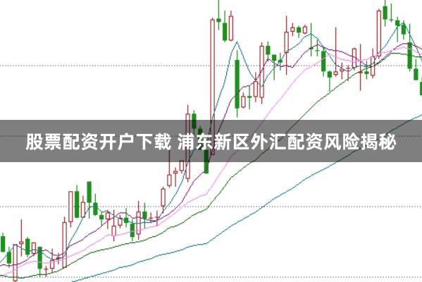 股票配资开户下载 浦东新区外汇配资风险揭秘