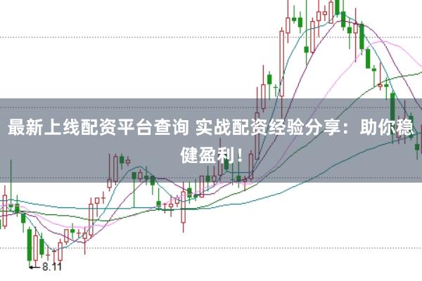最新上线配资平台查询 实战配资经验分享:助你稳健盈利!